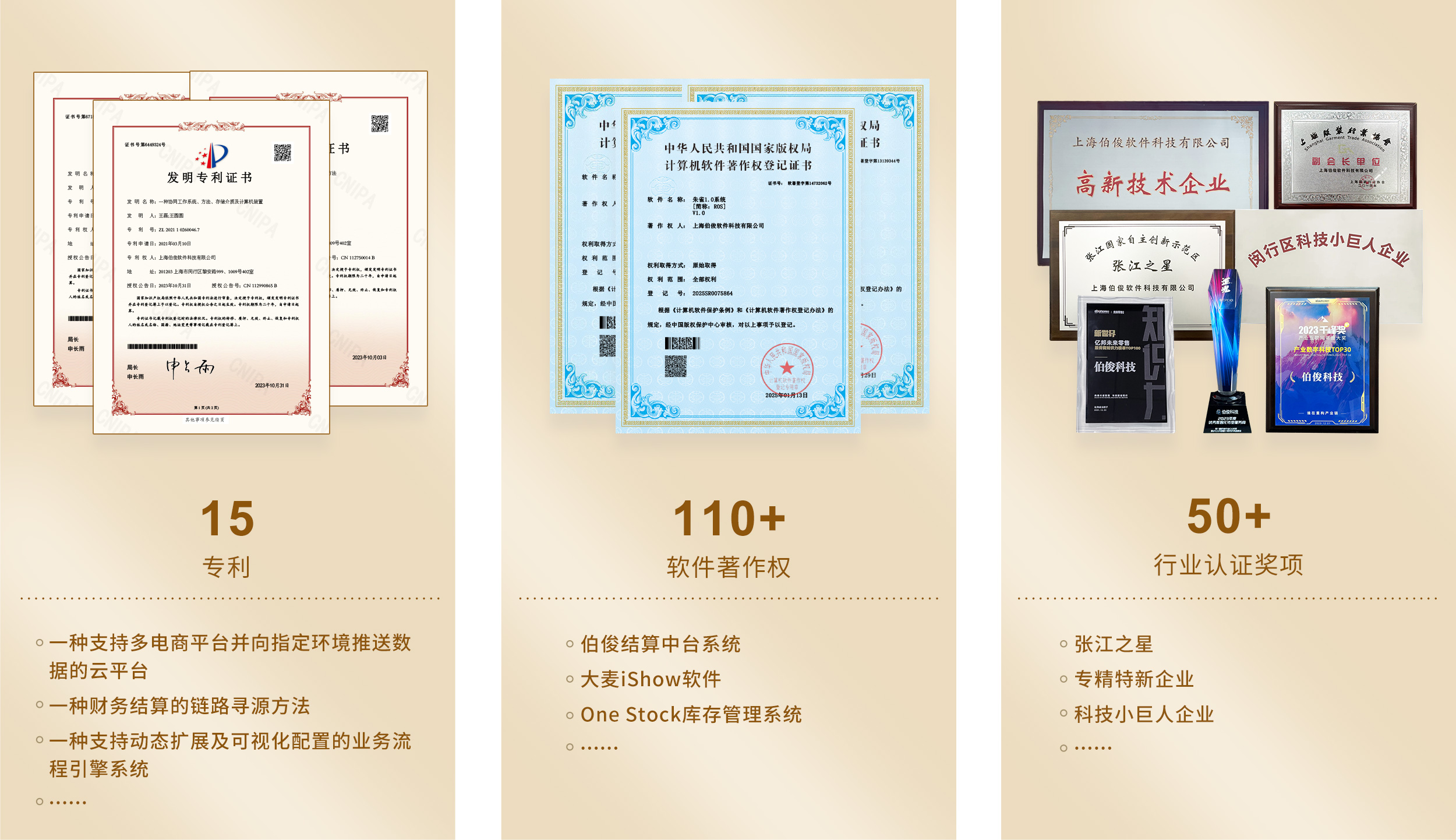 15项专利，110+软件著述权