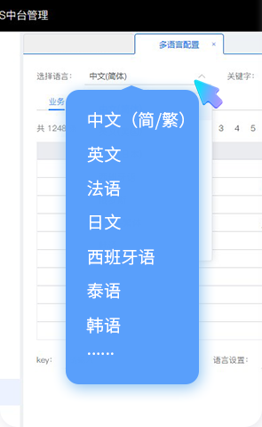 w66集团BOS，ERP，进销存，分销系统，多说话，新零售，智慧门店